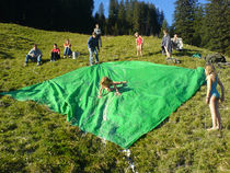 DSC00474.jpg