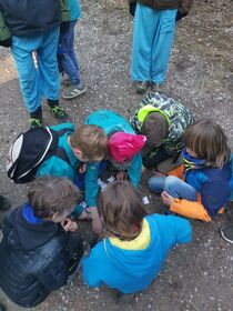 IMG_20210227_153330.jpg