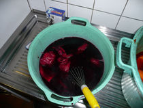 P1010009.jpg