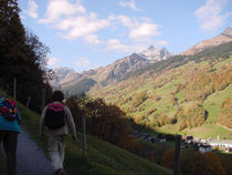 DSC00007 (2).jpg