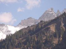 DSC00062.jpg