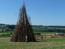 fuerio10-20.jpg
