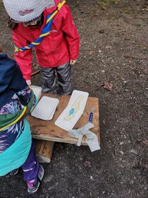 IMG_20211120_151803.jpg