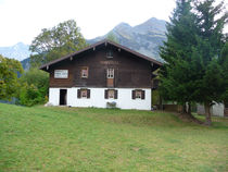 P1010108.jpg