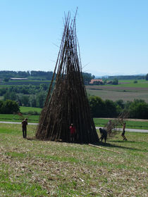 fuerio10-19.jpg