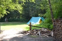 DSC_0135.jpg