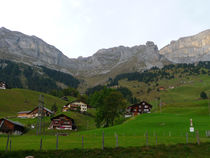 P1010107.jpg