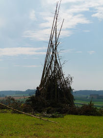 P1000890.jpg