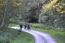 DSC_0329.jpg