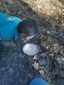IMG_20210227_145806.jpg