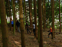 P1000875.jpg