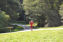 DSC_0204.jpg