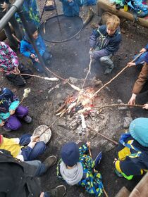 IMG_20211120_152727.jpg