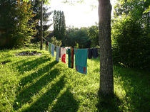 P1000824.jpg
