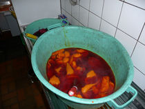 P1010008.jpg