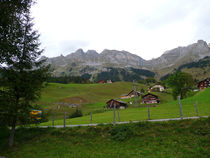 P1010067.jpg