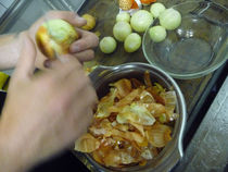 P1010081.jpg