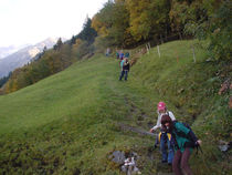 DSC00032.jpg