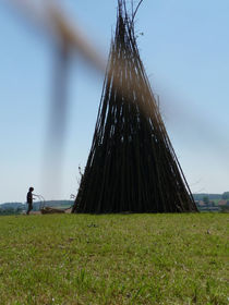 P1000901.jpg