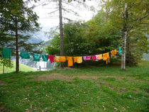 P1010013.jpg