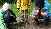 20160515_093734.jpg