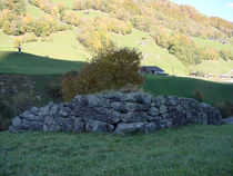 DSC00040.jpg