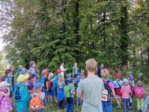 IMG_20210925_142038.jpg