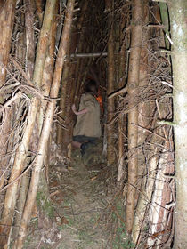 fuerio10-24.jpg