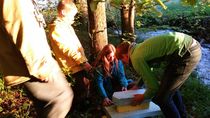 20160515_203412.jpg