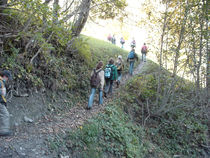 DSC00041.jpg