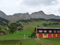 P1010050.jpg