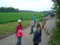 Pfila05-02.jpg