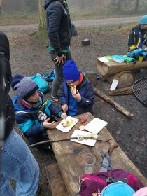 IMG_20211120_153254.jpg