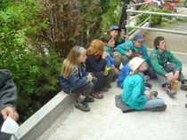 Pfila05-05.jpg