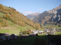 DSC00031 (2).jpg