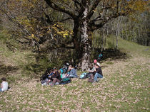DSC00042.jpg