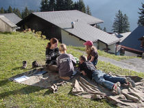 DSC00017.jpg