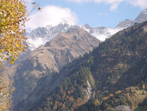 DSC00057.jpg