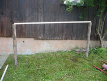 P1010416.jpg