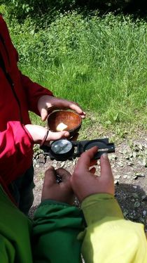 20160515_142115.jpg