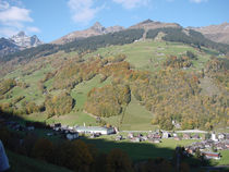 DSC00008.jpg