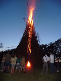 P1000943.jpg